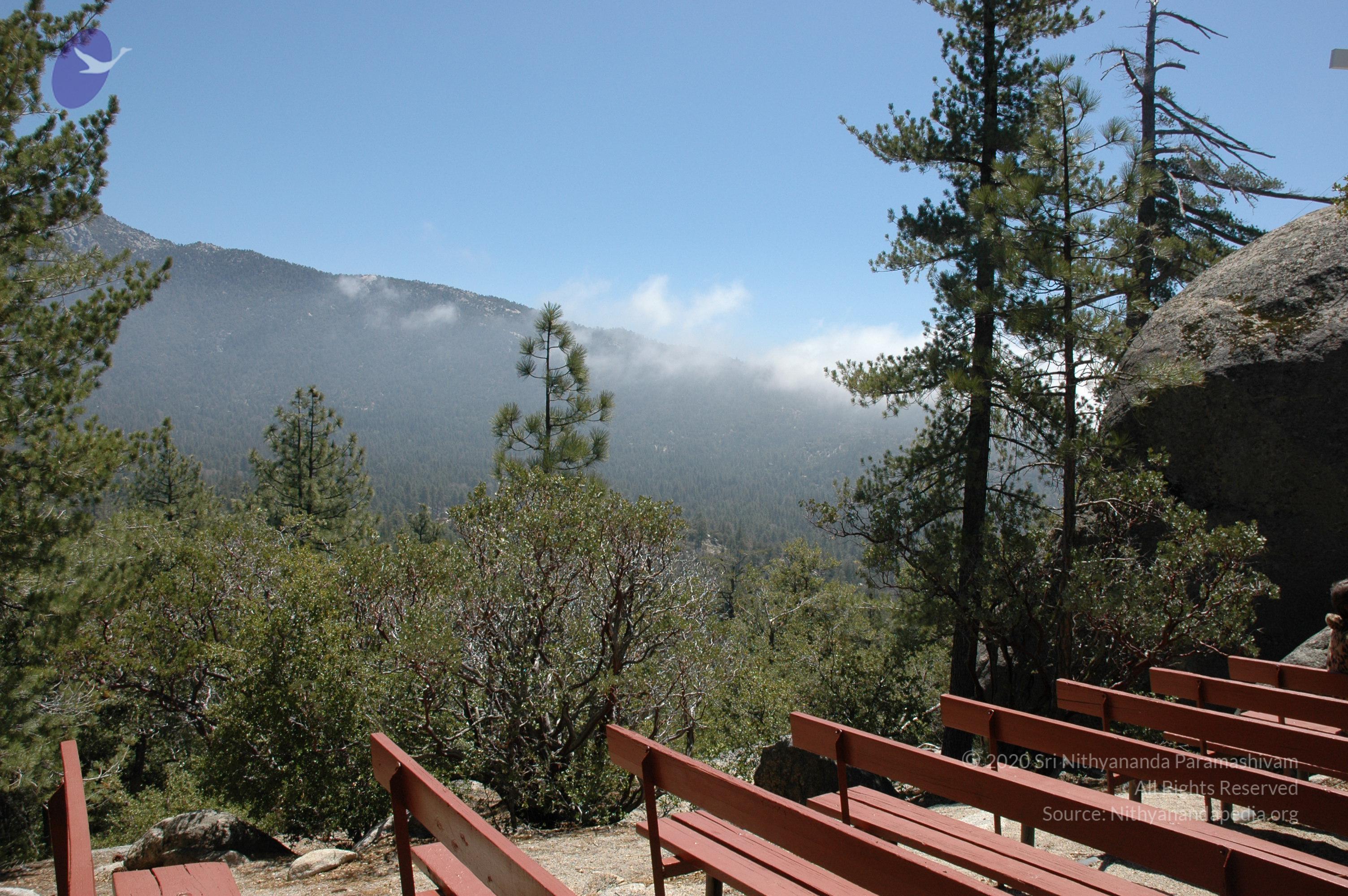 20060504_Photo_1001_DSC_0022_CMP_WM