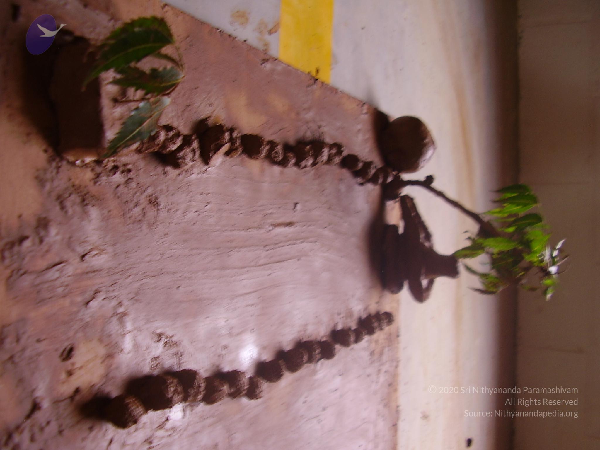 20060505_Photo_1012_P3190131_CMP_WM