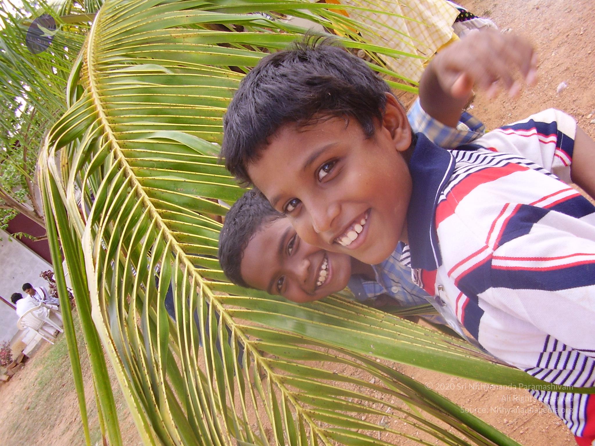 20060505_Photo_1026_P3190178_CMP_WM