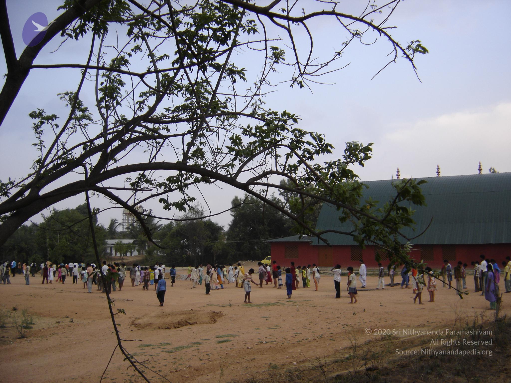 20060505_Photo_1030_DSC04075_CMP_WM