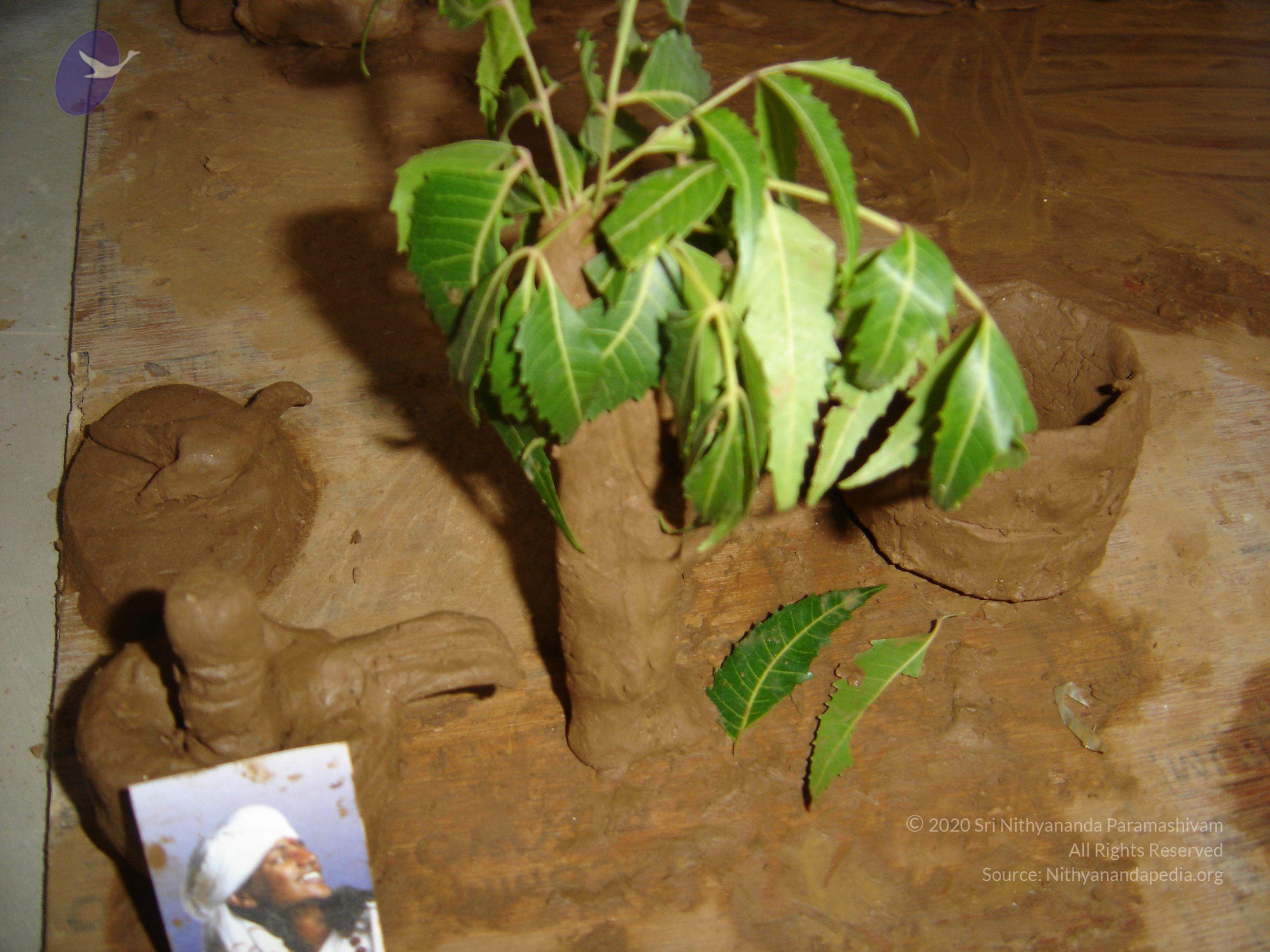 20060505_Photo_1044_DSC03913_CMP_WM