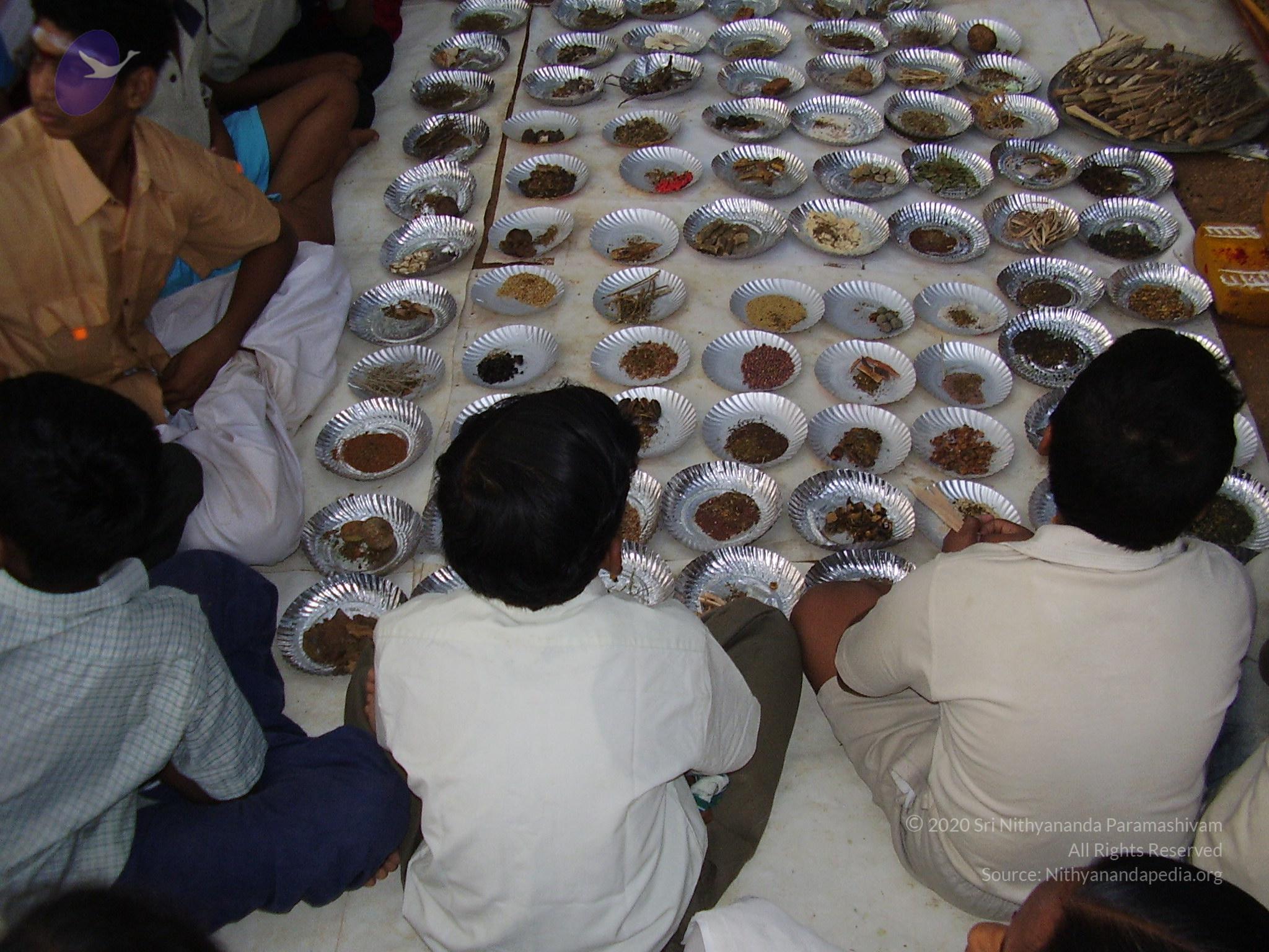 20060505_Photo_1094_P3190053_CMP_WM