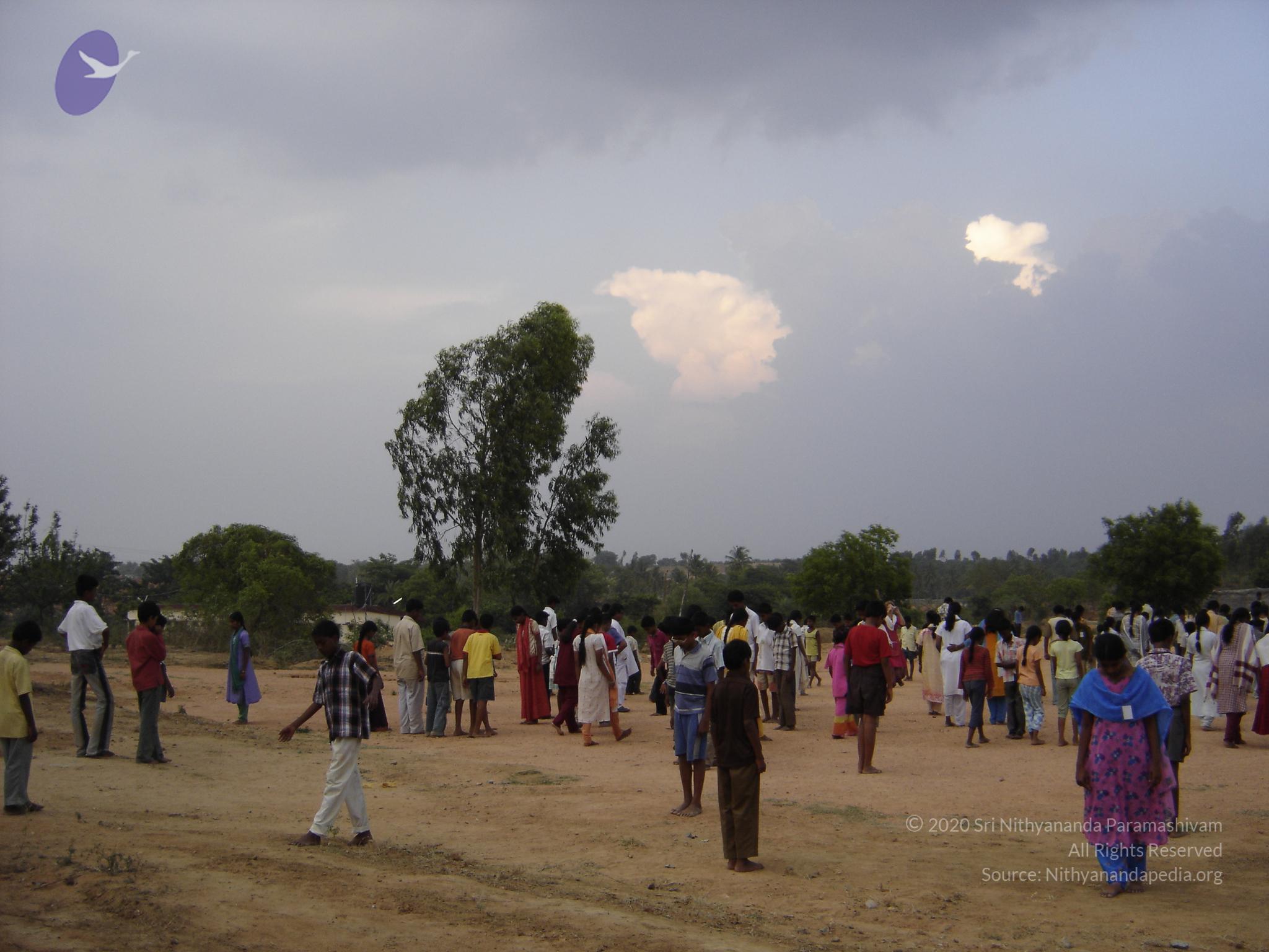 20060505_Photo_1208_DSC04063_CMP_WM