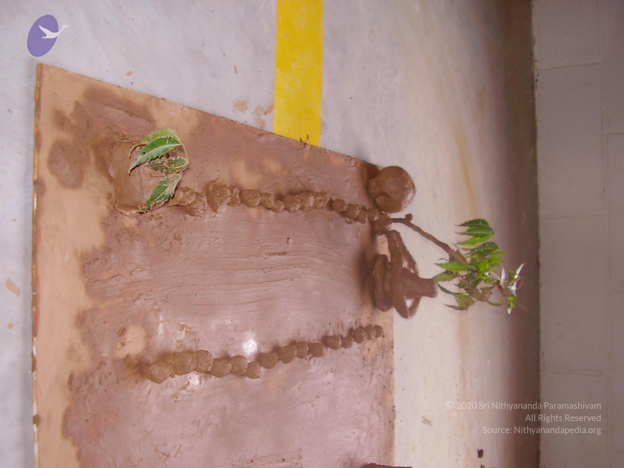 20060505_Photo_1320_P3190130_CMP_WM