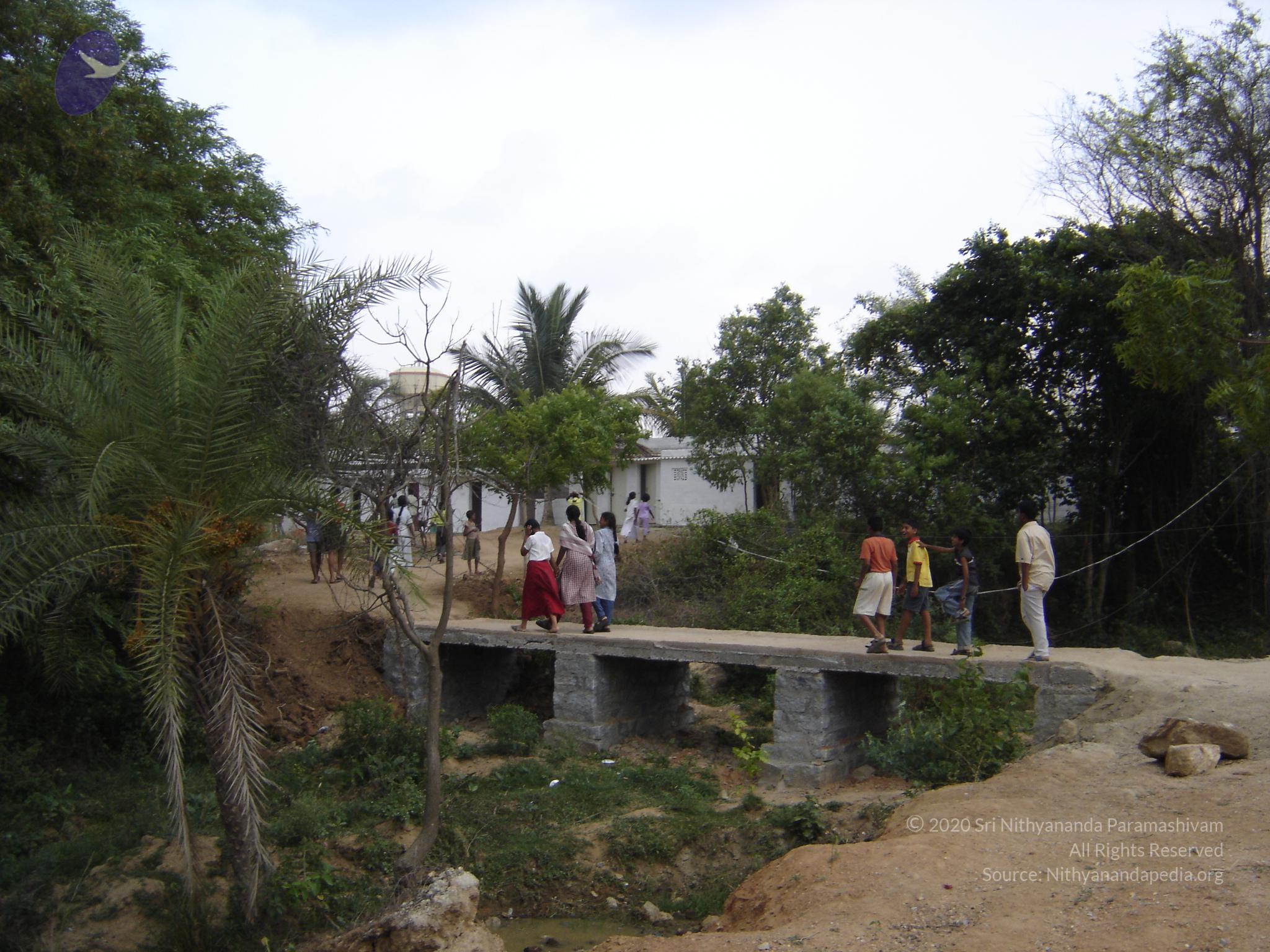 20060505_Photo_1325_DSC04097_CMP_WM