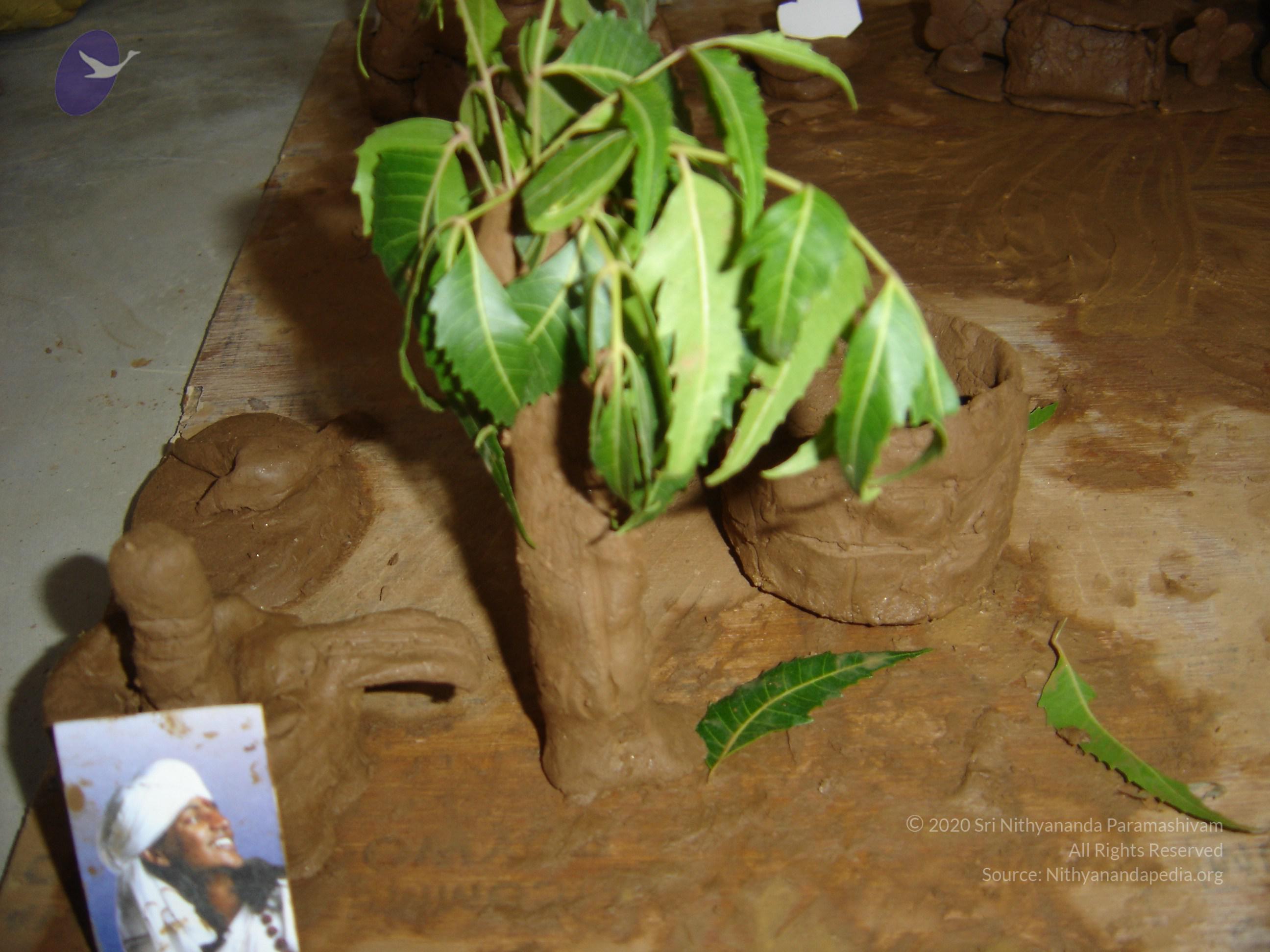 20060505_Photo_1355_DSC03912_CMP_WM