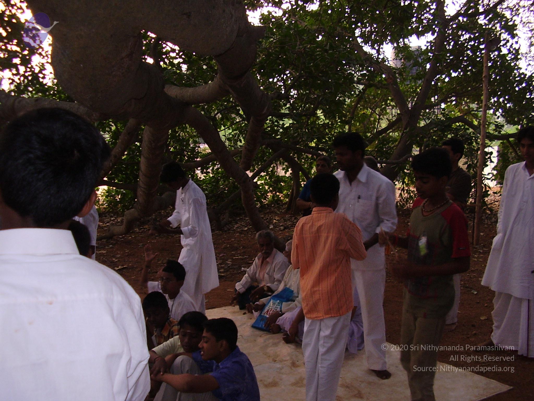 20060505_Photo_1384_P3190050_CMP_WM