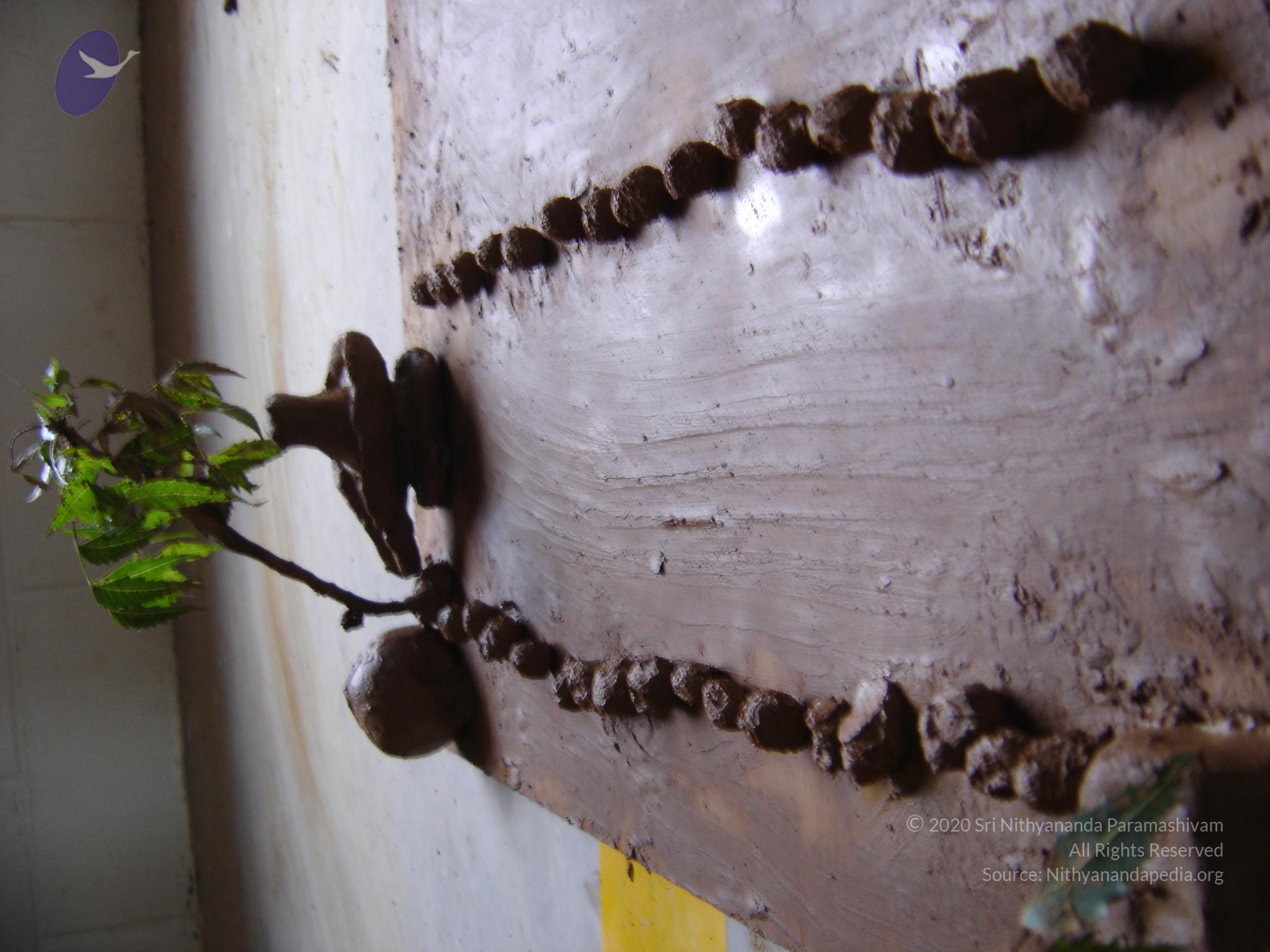 20060505_Photo_1399_DSC03940_CMP_WM