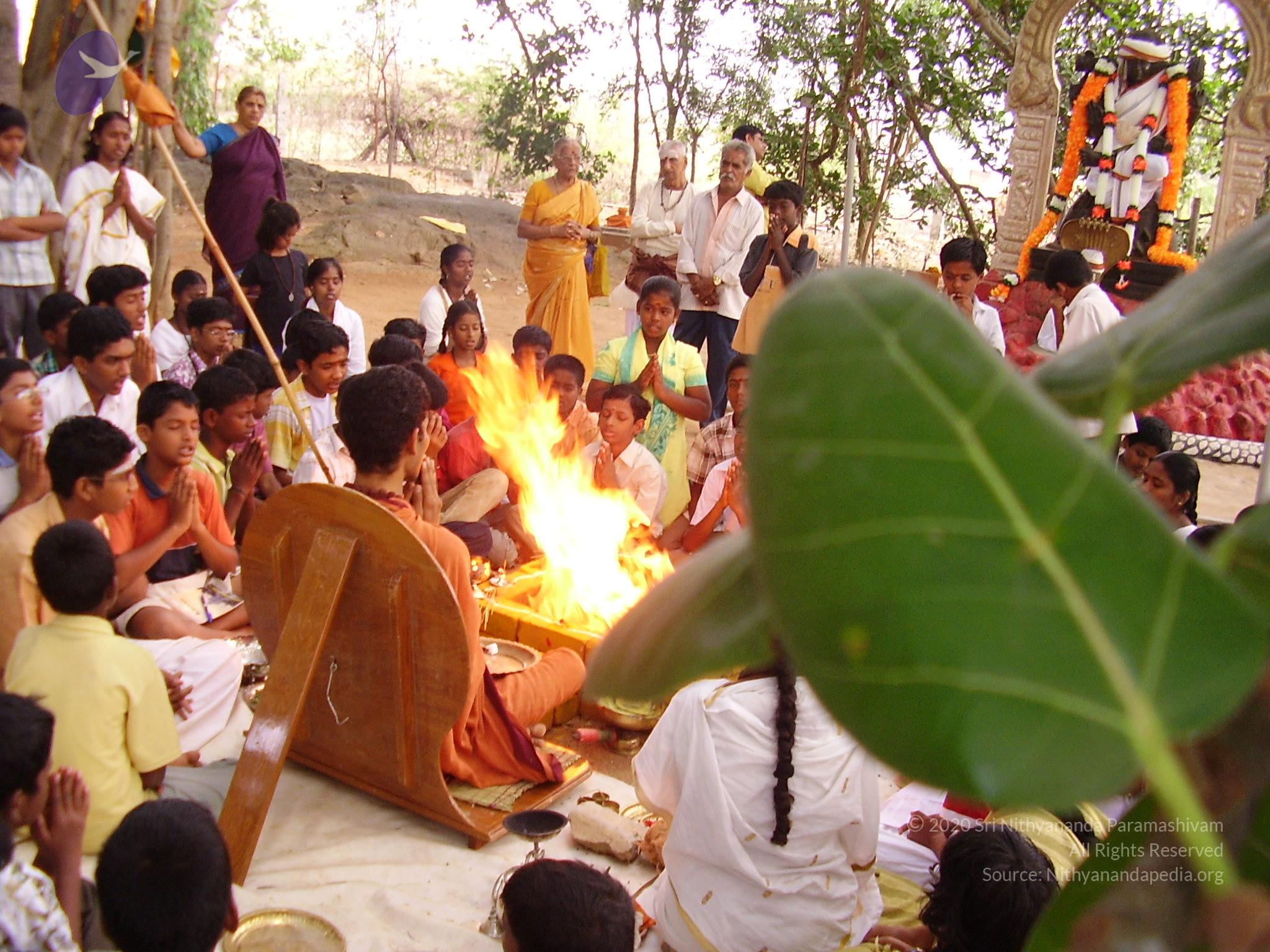 20060505_Photo_1405_P3190084_CMP_WM