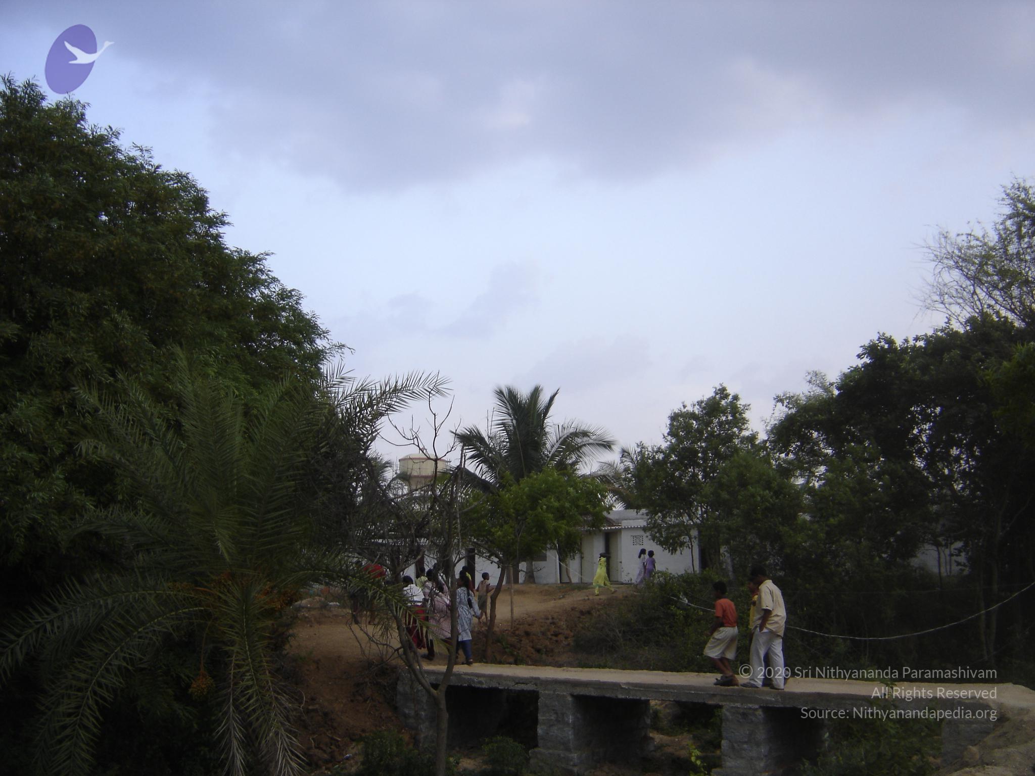 20060505_Photo_1487_DSC04098_CMP_WM