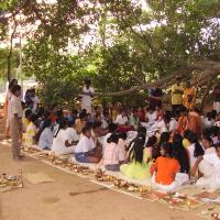 20060505_Photo_1276_P3190052_CMP_WM