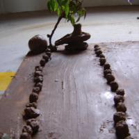 20060505_Photo_1399_DSC03940_CMP_WM