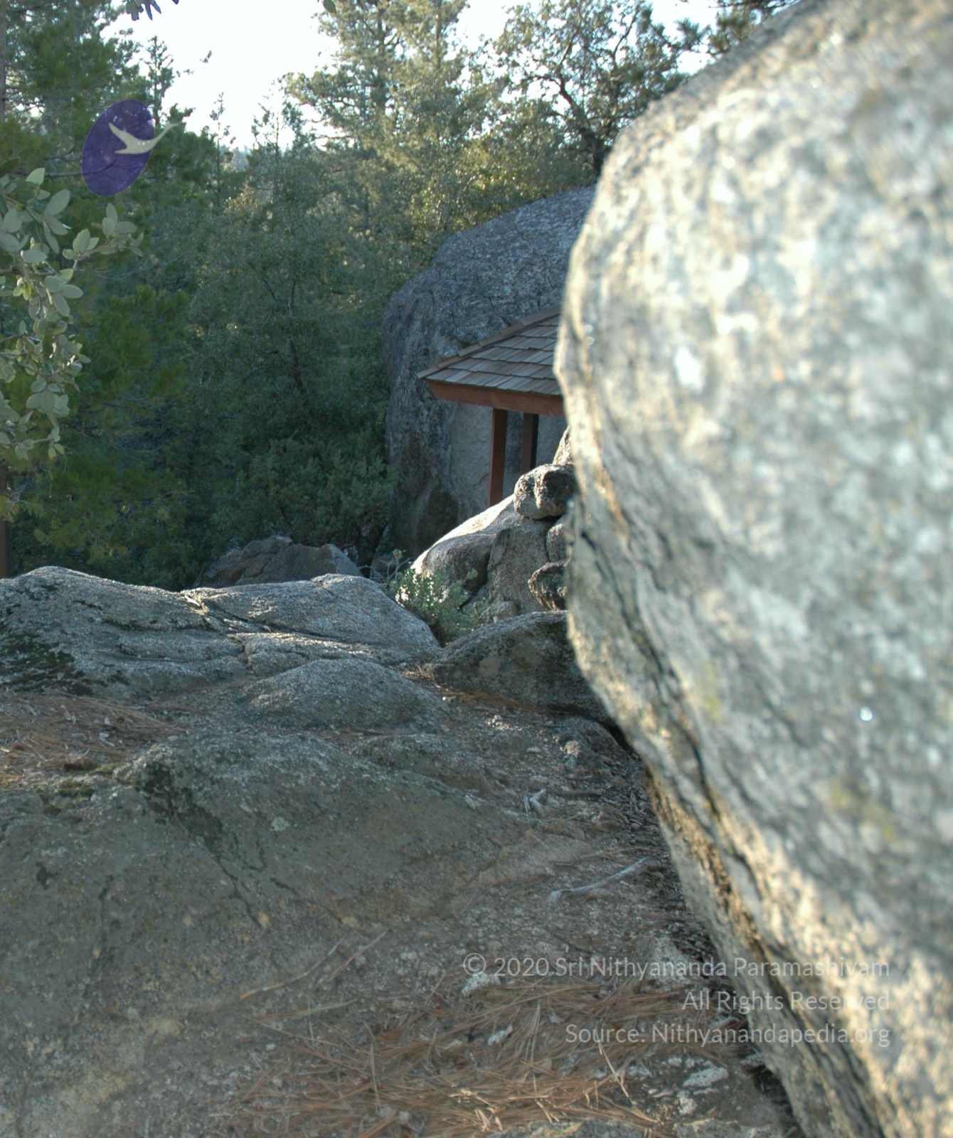 20060505_Photo_1154_eDSC_0061_CMP_WM