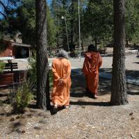 20060505_Photo_1001_DSC_0136_CMP_WM