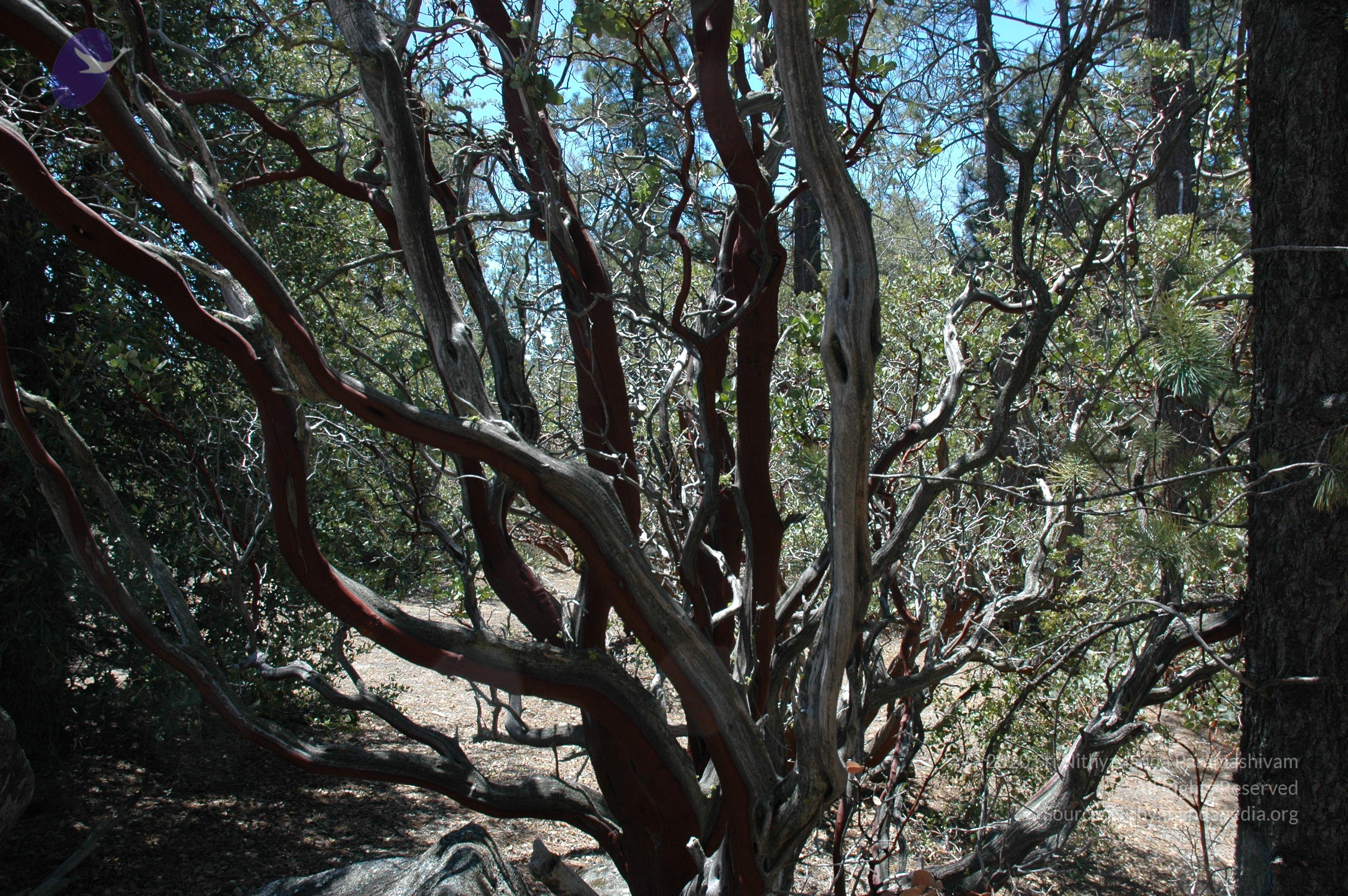 20060505_Photo_1044_DSC_0072_CMP_WM