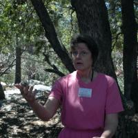 20060505_Photo_1056_DSC_0096_CMP_WM