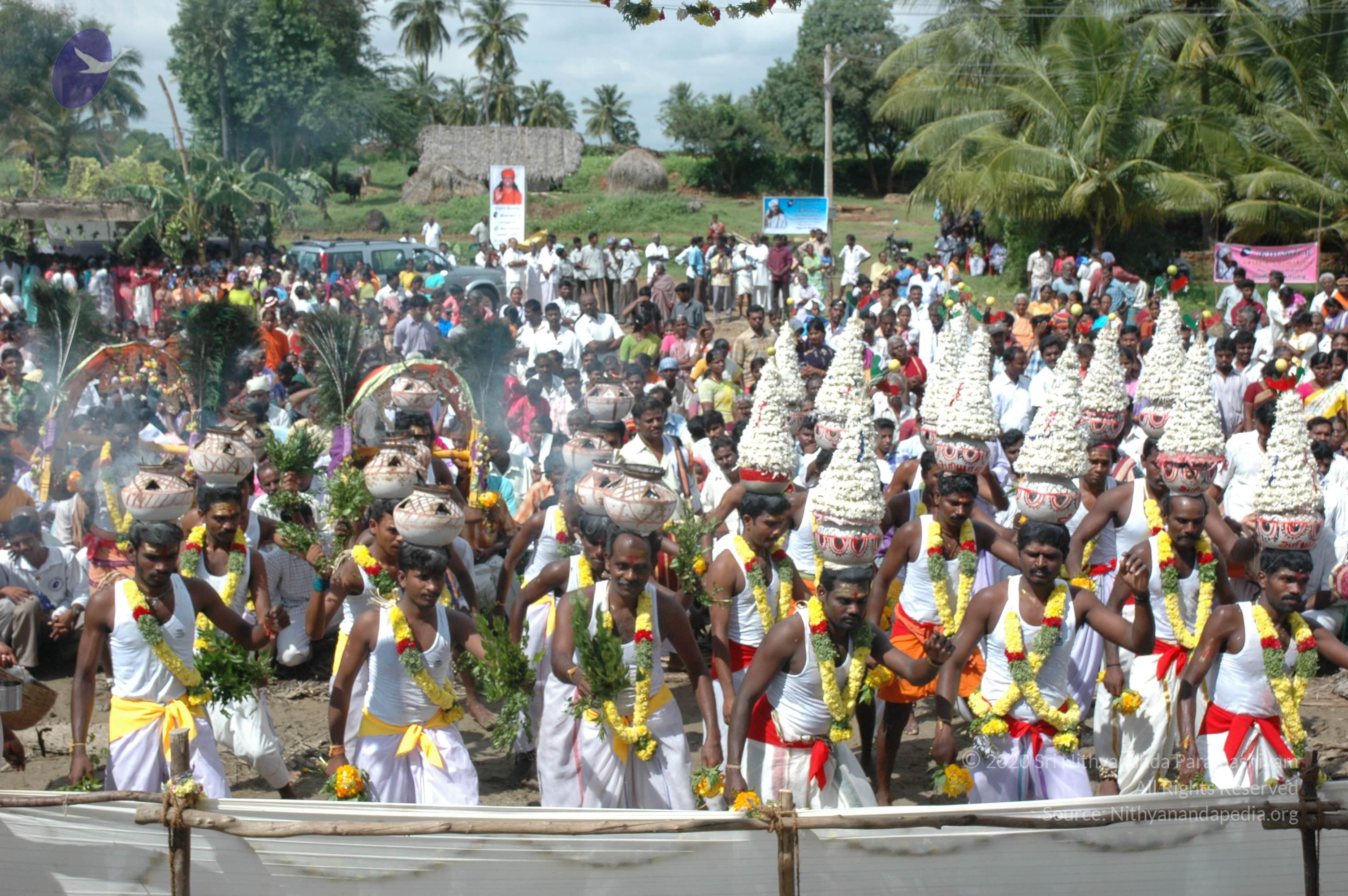 20061113_Photo_1026_DSC_7386_CMP_WM