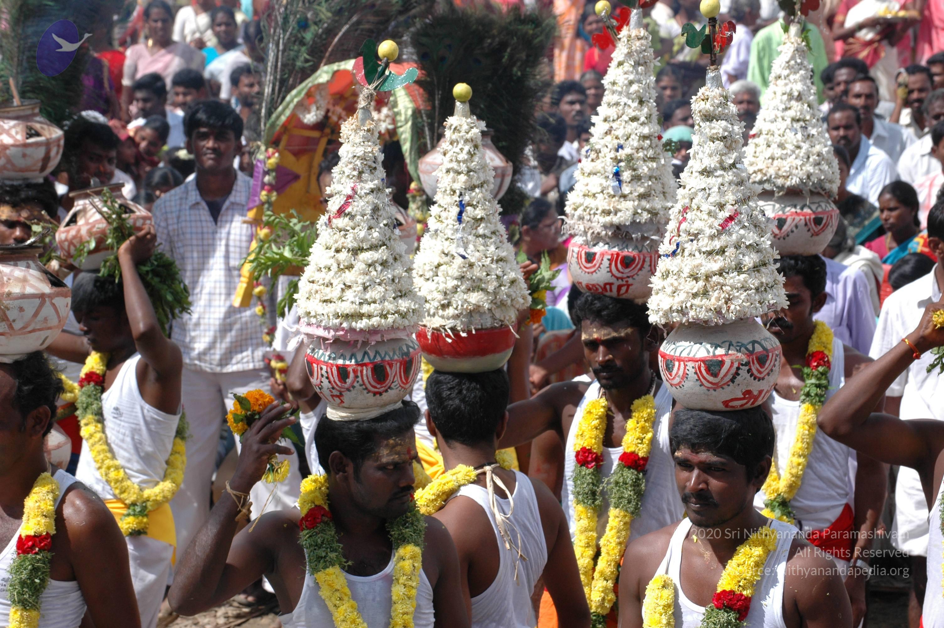 20061113_Photo_1076_DSC_7371_CMP_WM