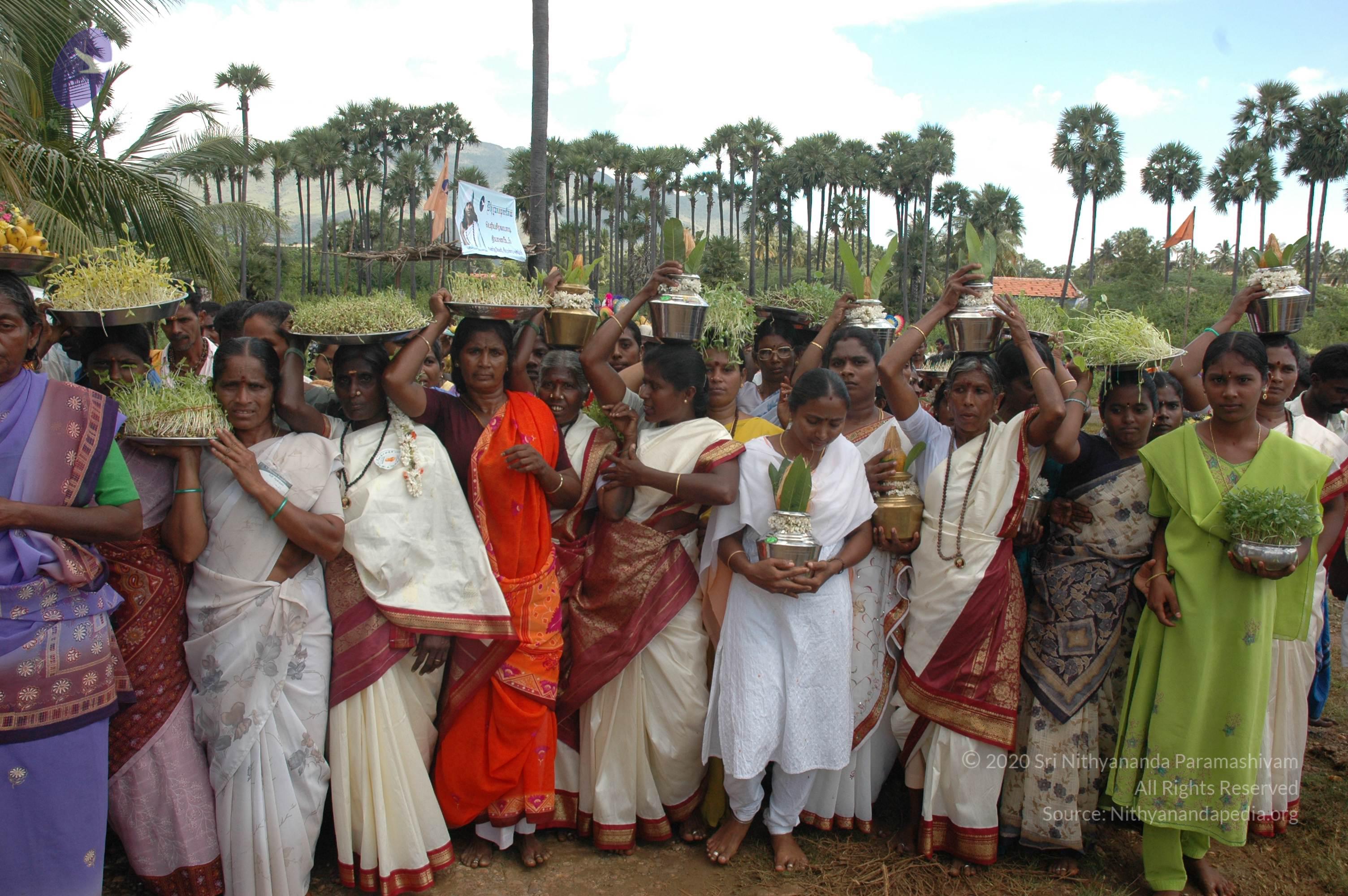 20061113_Photo_1090_DSC_7274_CMP_WM