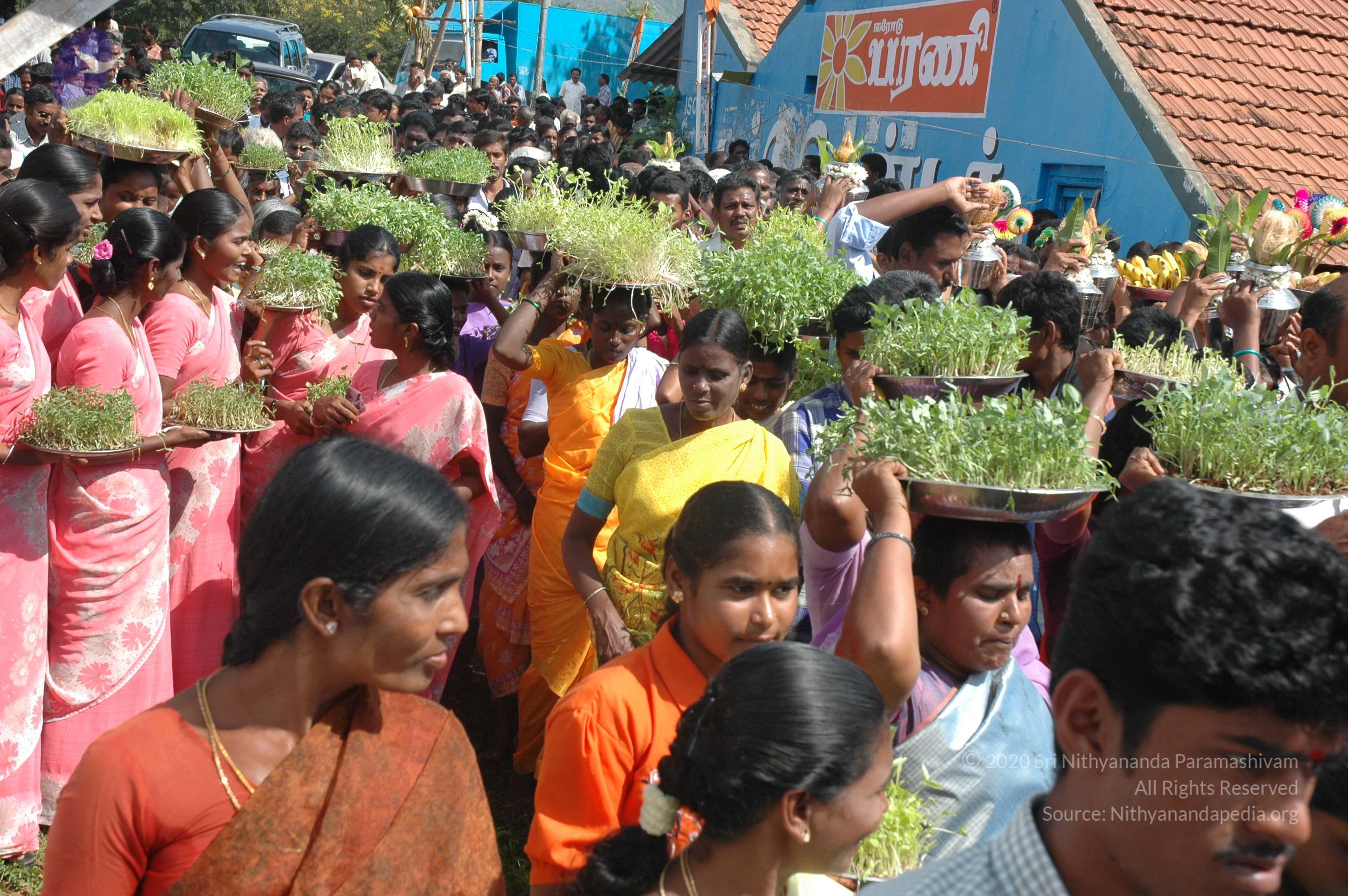 20061113_Photo_1091_DSC_7148_CMP_WM