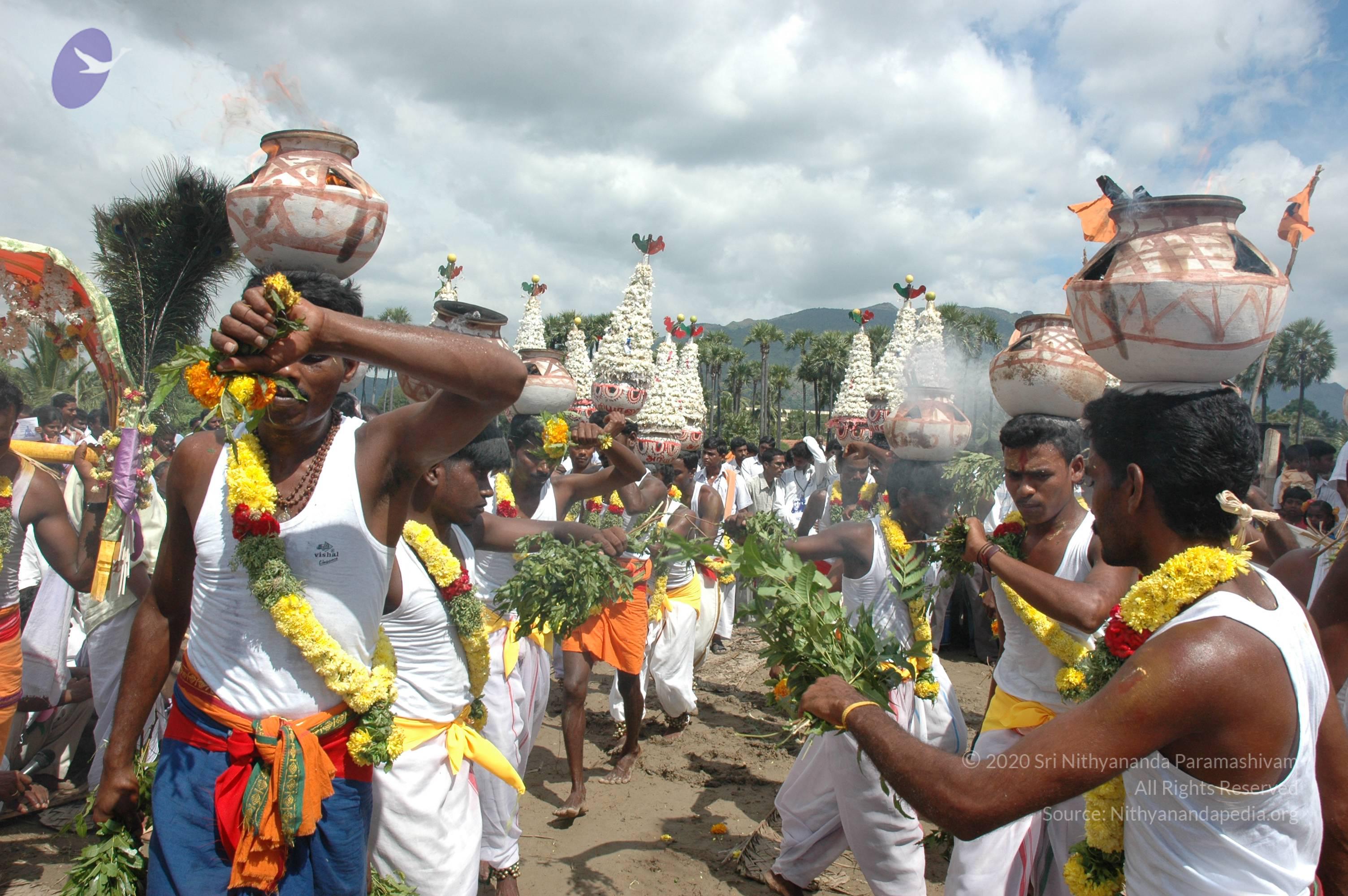 20061113_Photo_1151_DSC_7414_CMP_WM