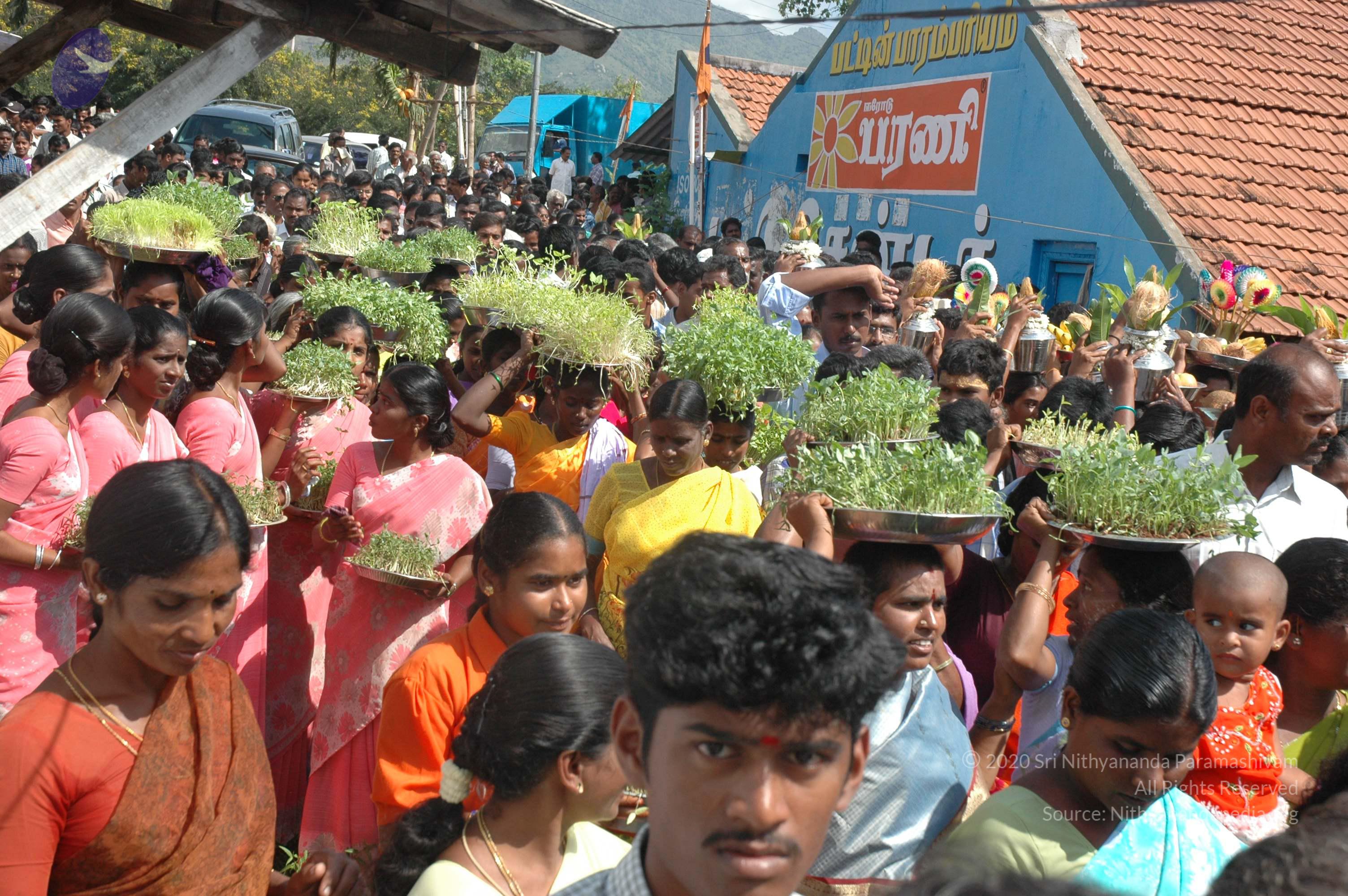 20061113_Photo_1187_DSC_7147_CMP_WM