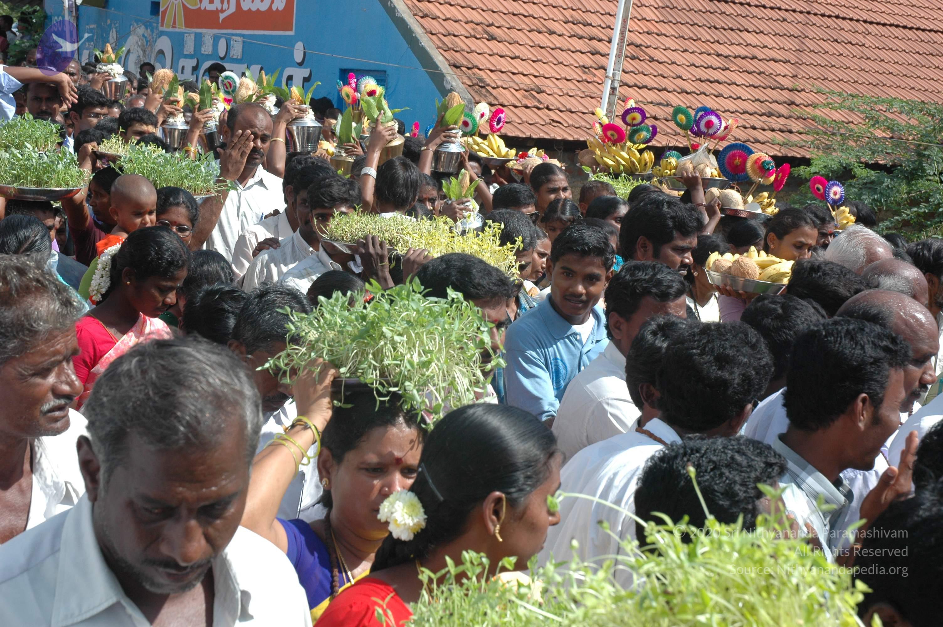 20061113_Photo_1224_DSC_7144_CMP_WM