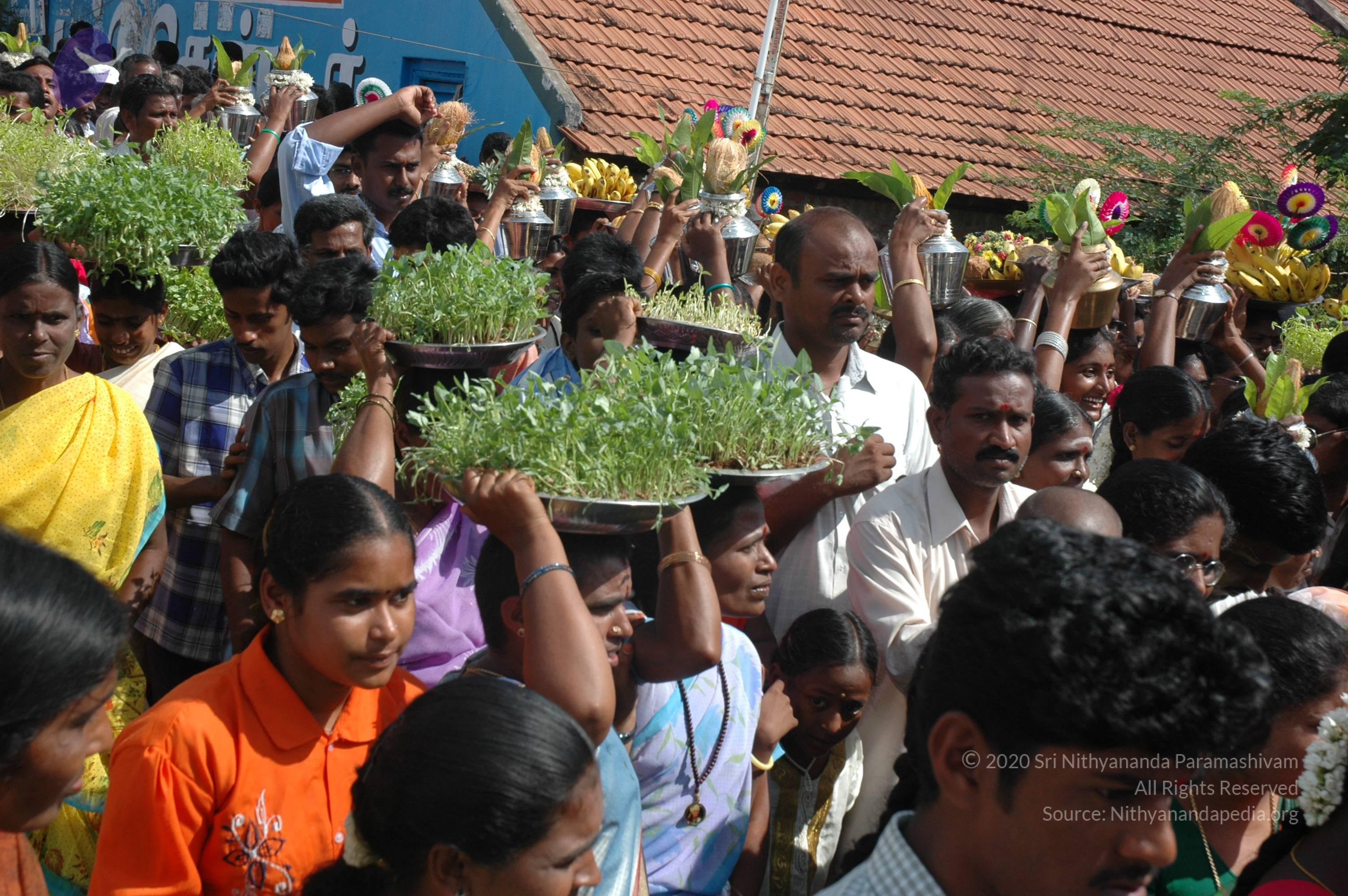 20061113_Photo_1251_DSC_7149_CMP_WM