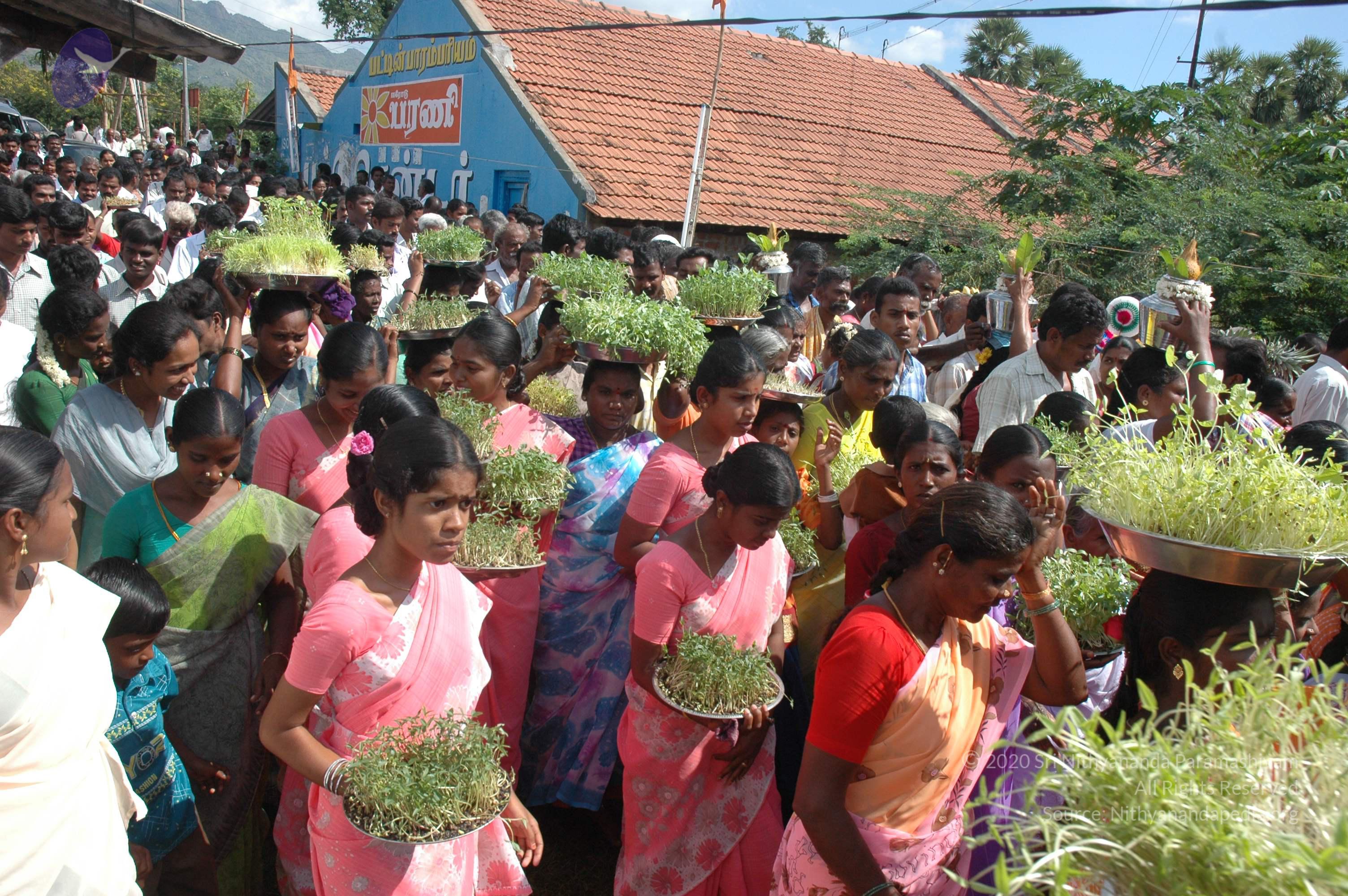 20061113_Photo_1357_DSC_7157_CMP_WM