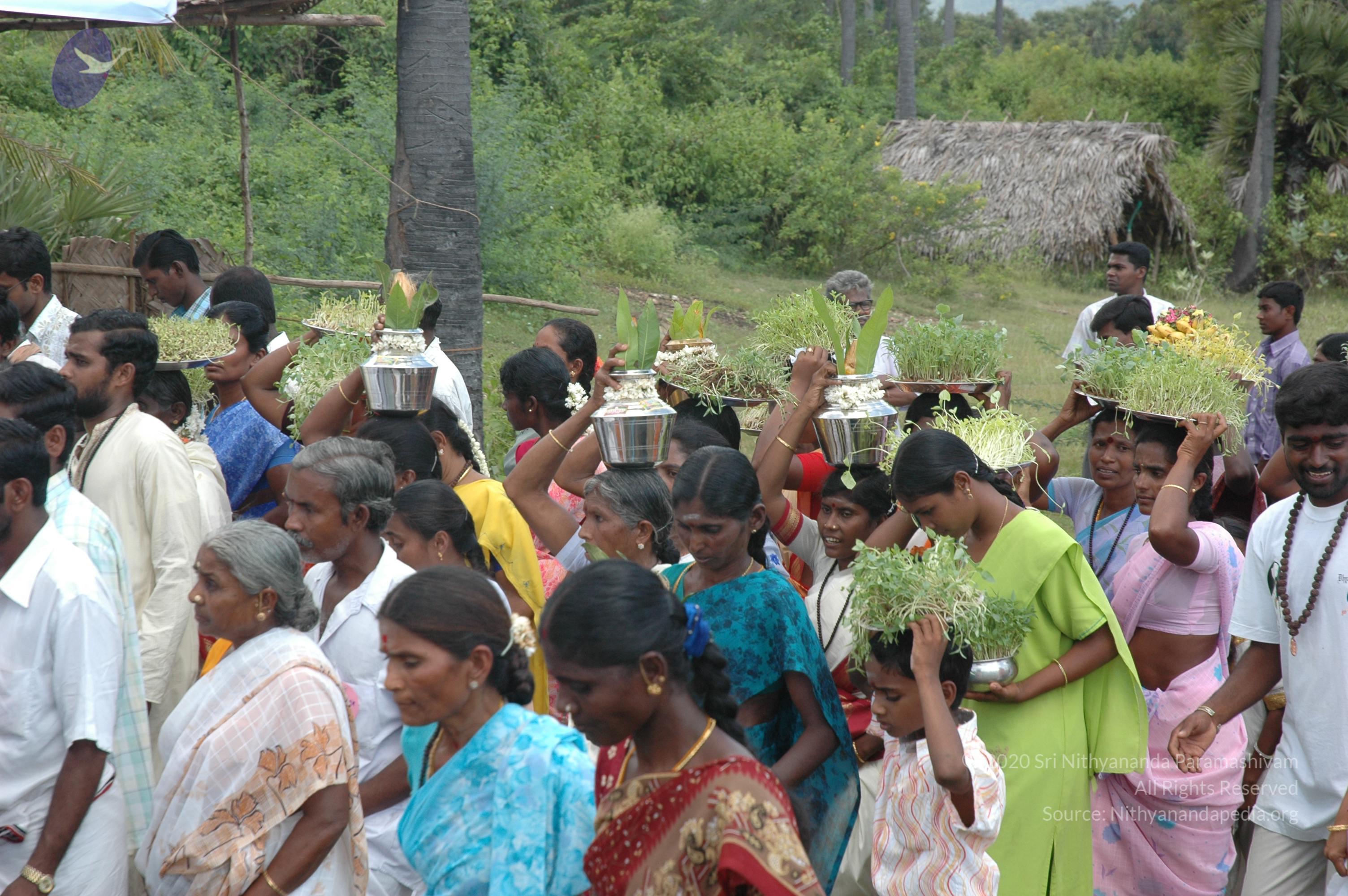 20061113_Photo_1000_DSC_7271_CMP_WM