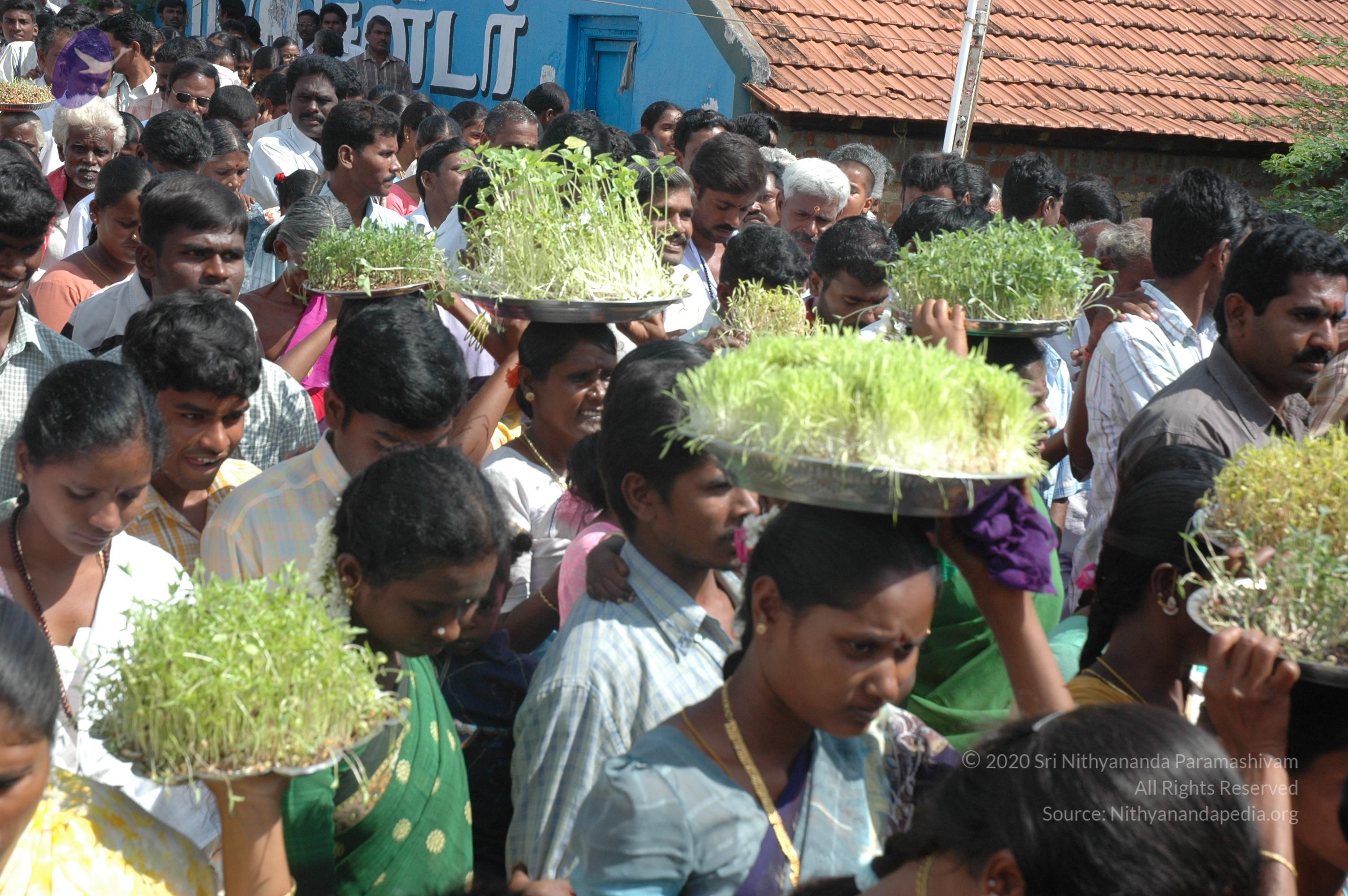 20061113_Photo_1071_DSC_7159_CMP_WM