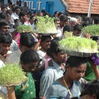 20061113_Photo_1071_DSC_7159_CMP_WM