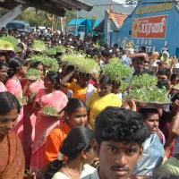 20061113_Photo_1187_DSC_7147_CMP_WM