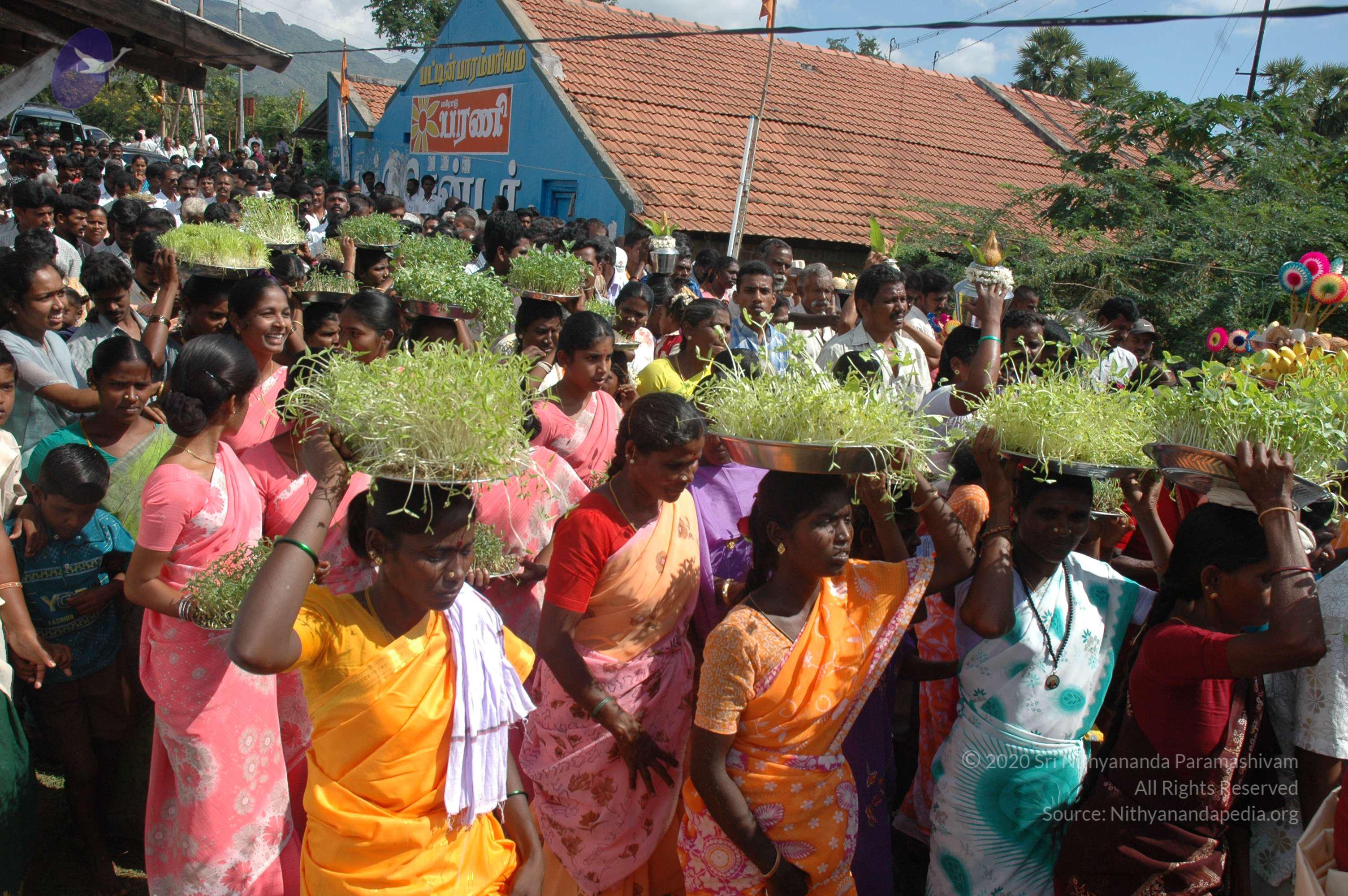 20061113_Photo_1199_DSC_7156_CMP_WM