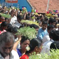 20061113_Photo_1224_DSC_7144_CMP_WM