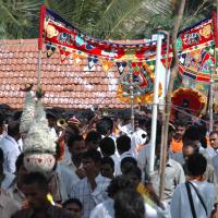 20061113_Photo_1225_DSC_7173_CMP_WM