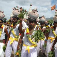 20061113_Photo_1311_DSC_7234_CMP_WM