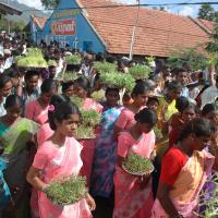 20061113_Photo_1357_DSC_7157_CMP_WM