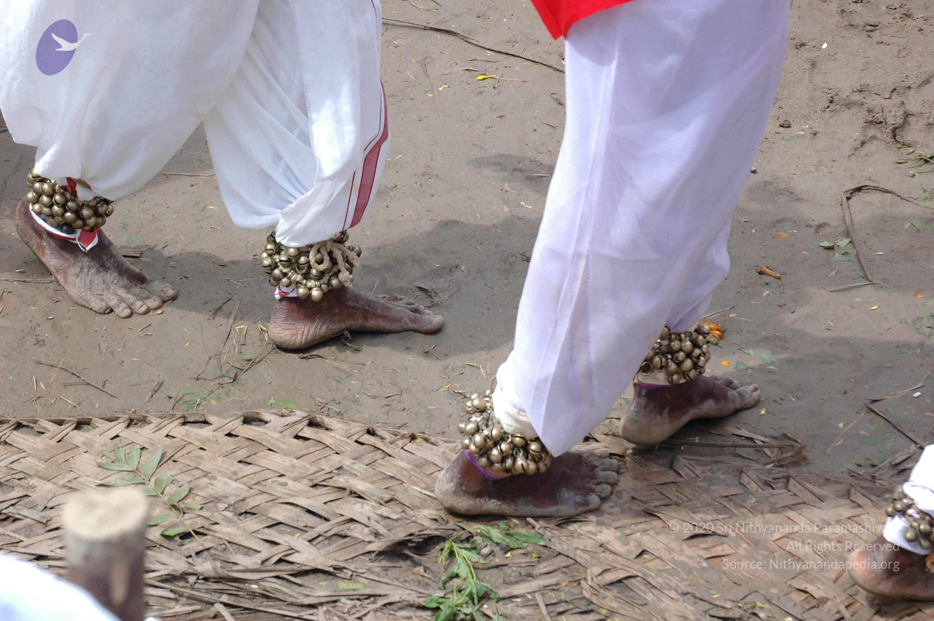 20061113_Photo_1387_DSC_7713_CMP_WM