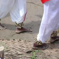 20061113_Photo_1387_DSC_7713_CMP_WM