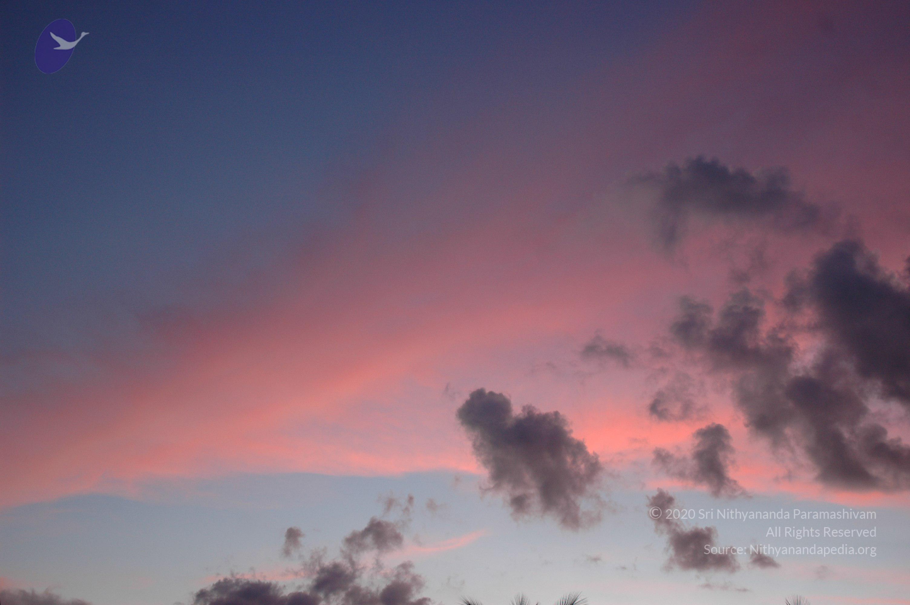 20061114_Photo_1044_DSC_8251_CMP_WM