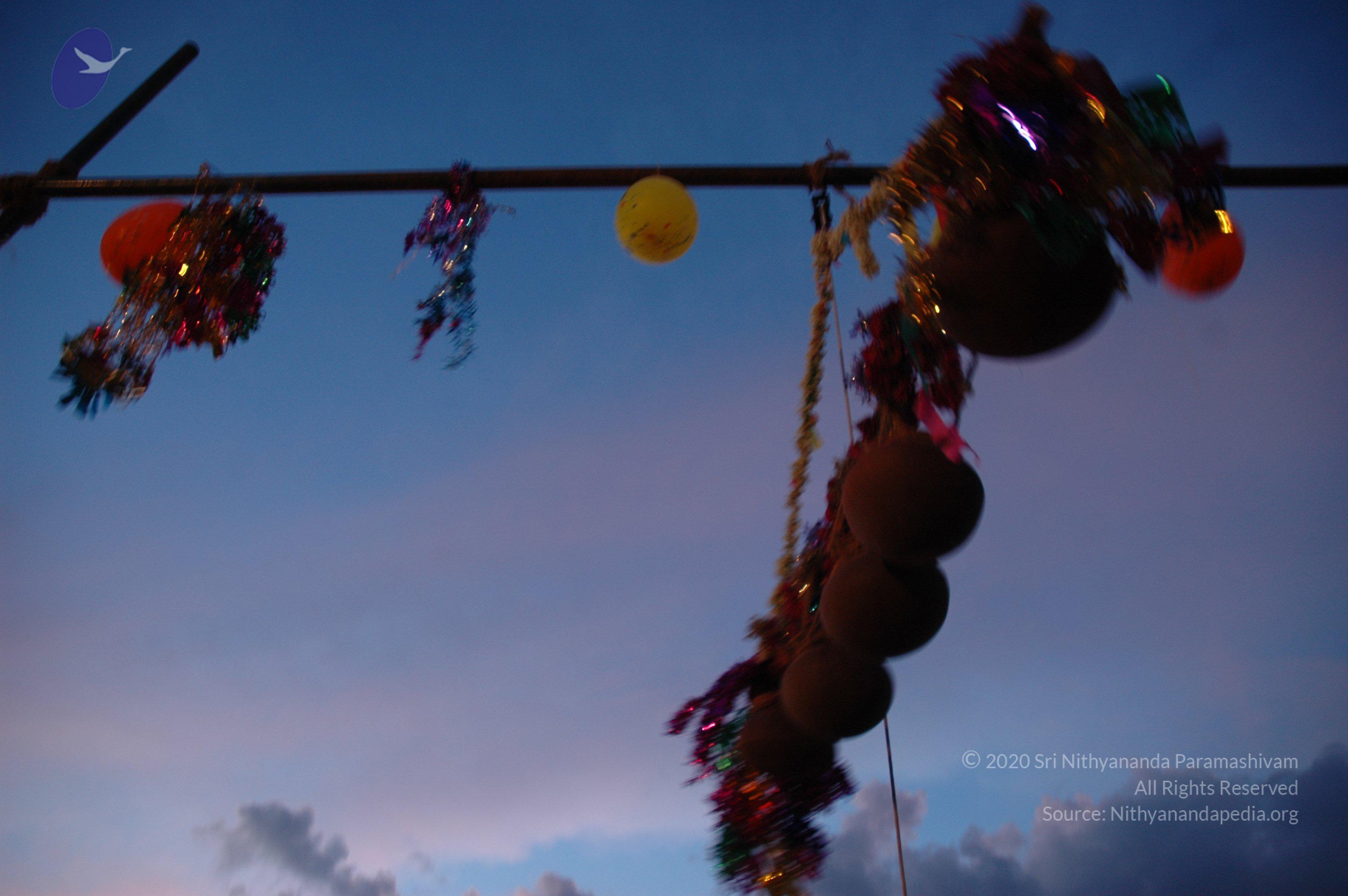 20061114_Photo_1062_DSC_8272_CMP_WM