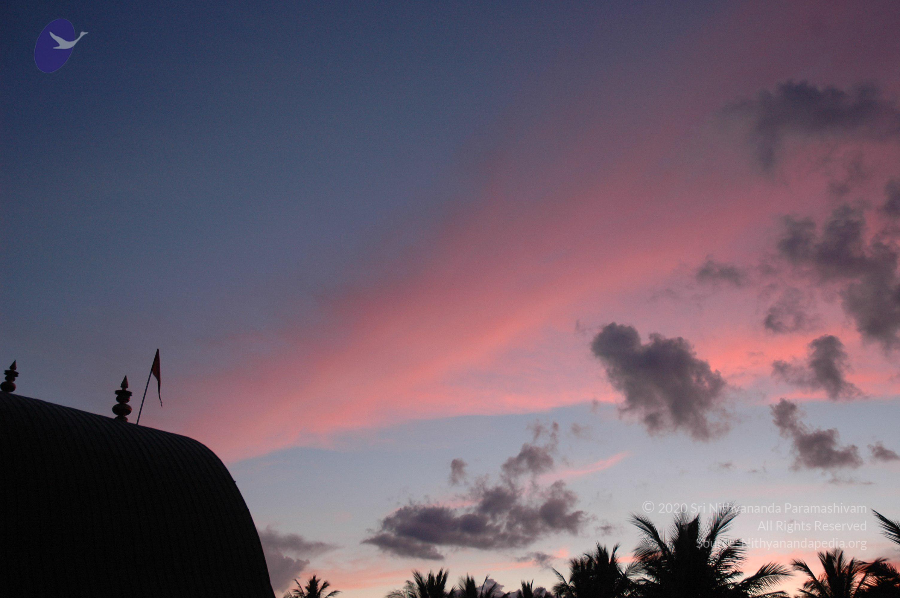 20061114_Photo_1101_DSC_8249_CMP_WM