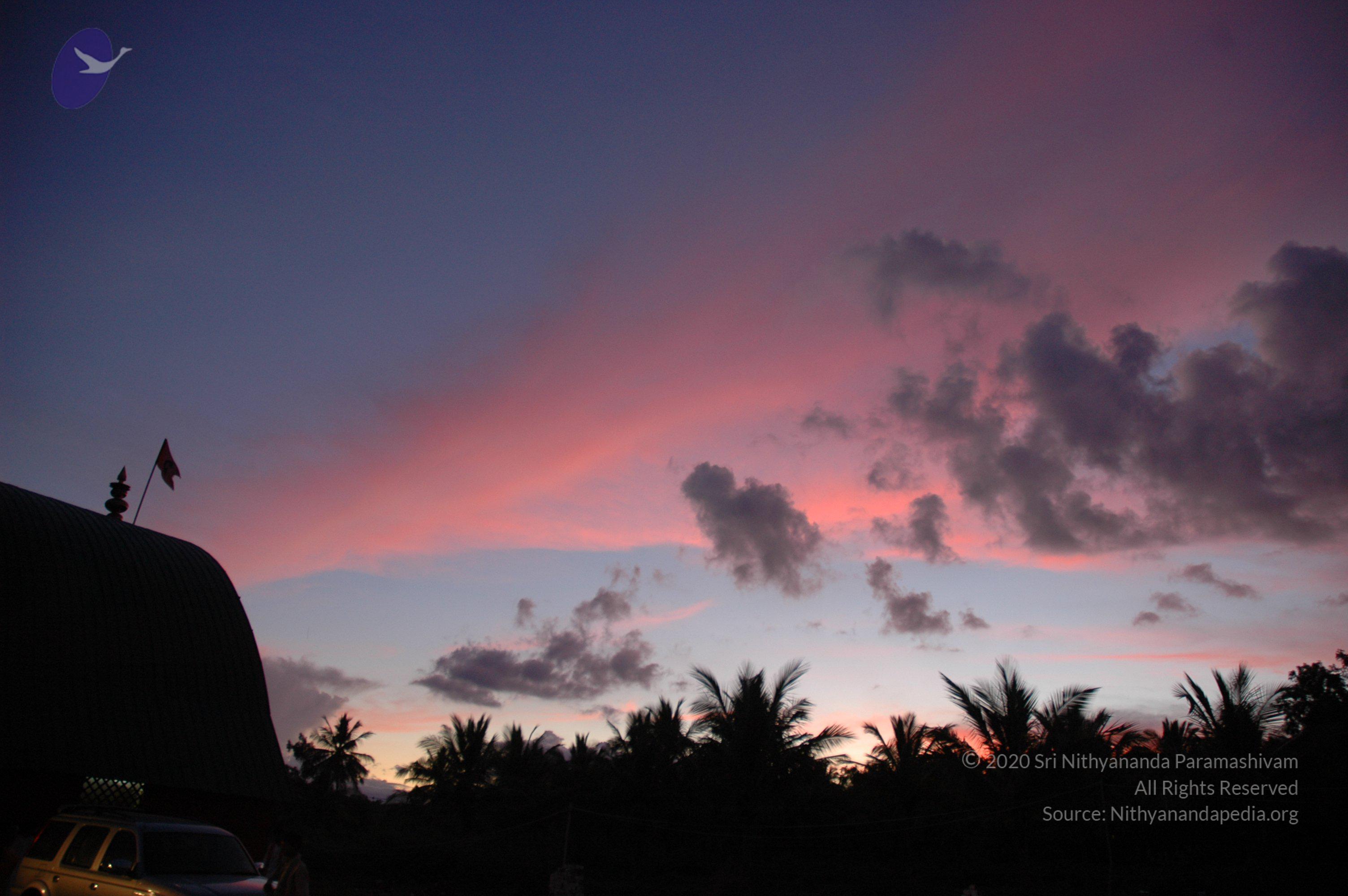 20061114_Photo_1132_DSC_8250_CMP_WM