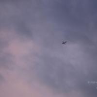 20061114_Photo_1089_DSC_8243_CMP_WM