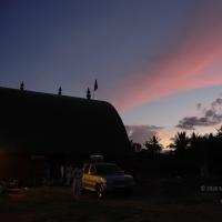 20061114_Photo_1109_DSC_8255_CMP_WM