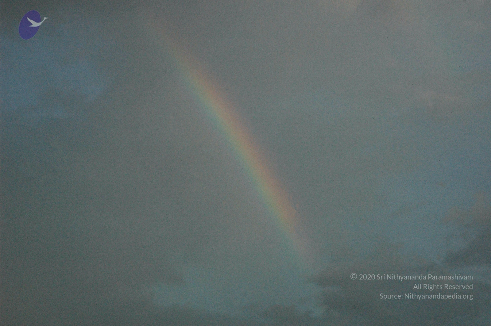 20061002_Photo_1013_DSC_7235_CMP_WM