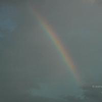 20061002_Photo_1013_DSC_7235_CMP_WM