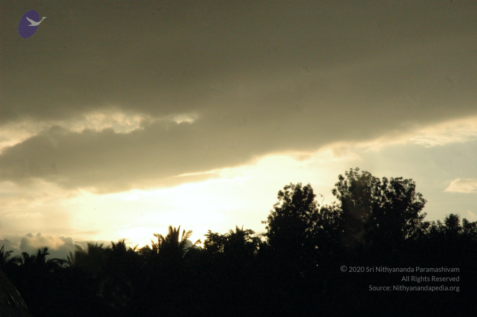 20061002_Photo_1030_DSC_7221_CMP_WM