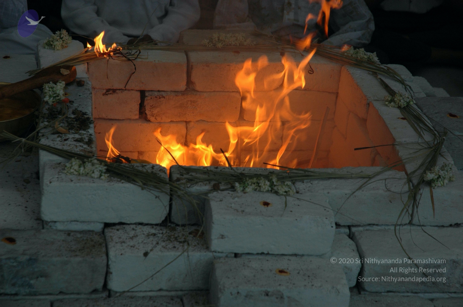 20061002_Photo_1037_DSC_7153_CMP_WM